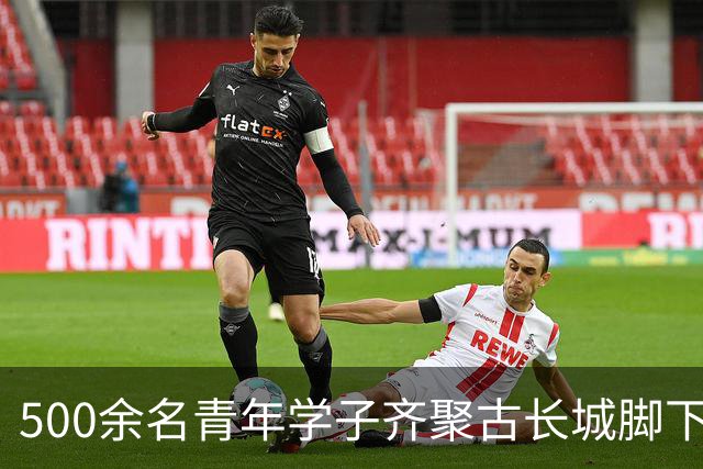 500余名青年学子齐聚古长城脚下赴山野之约
